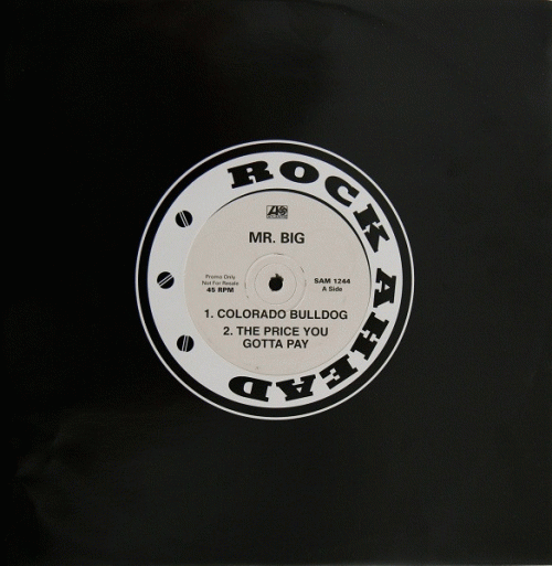 Mr. Big : Colorado Bulldog